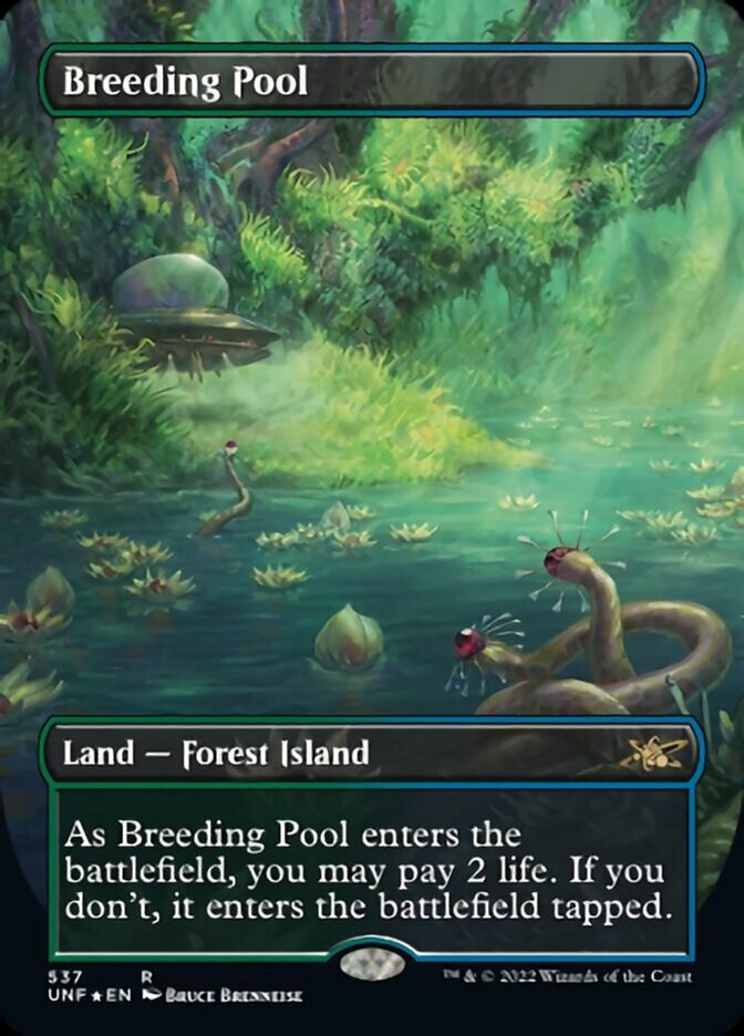 Breeding Pool (Borderless) (Galaxy Foil) [Unfinity] | Card Citadel