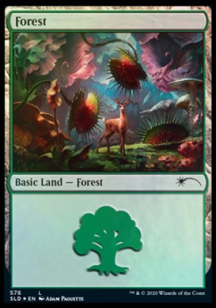 Forest (Predatory) (578) [Secret Lair Drop Promos] | Card Citadel