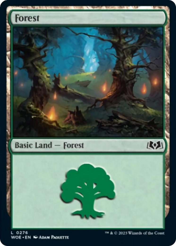 Forest (0276) [Wilds of Eldraine] | Card Citadel