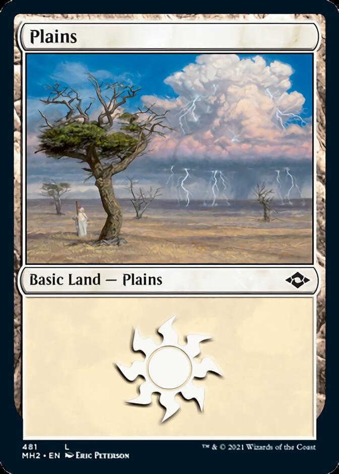 Plains (481) (Foil Etched) [Modern Horizons 2] | Card Citadel