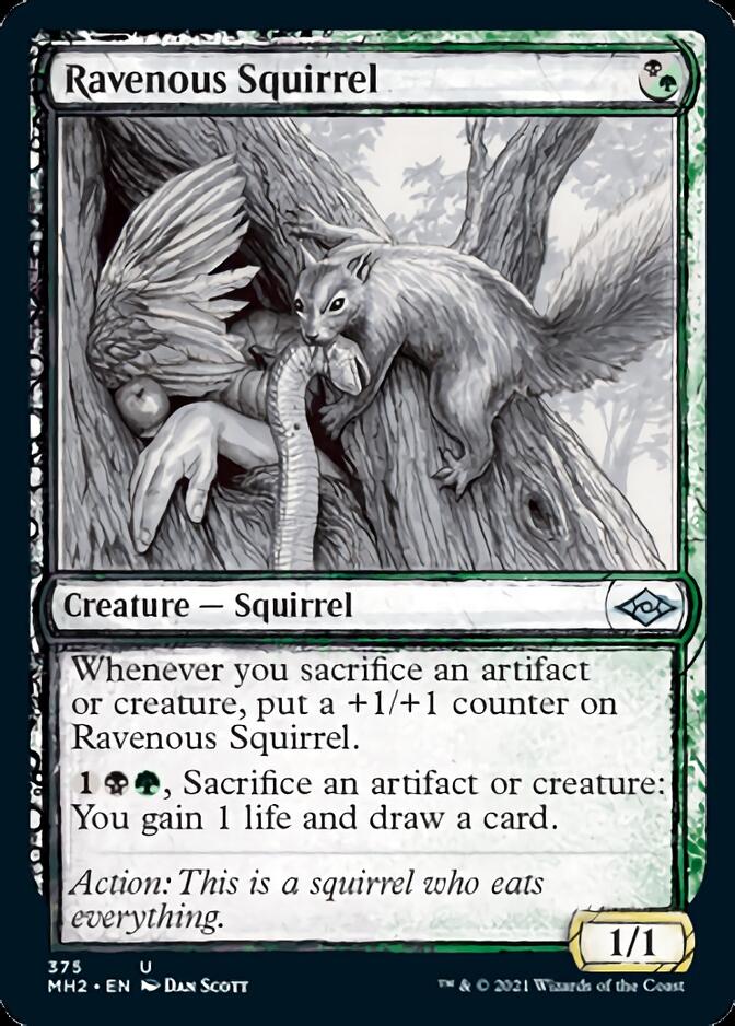 Ravenous Squirrel (Sketch) [Modern Horizons 2] | Card Citadel