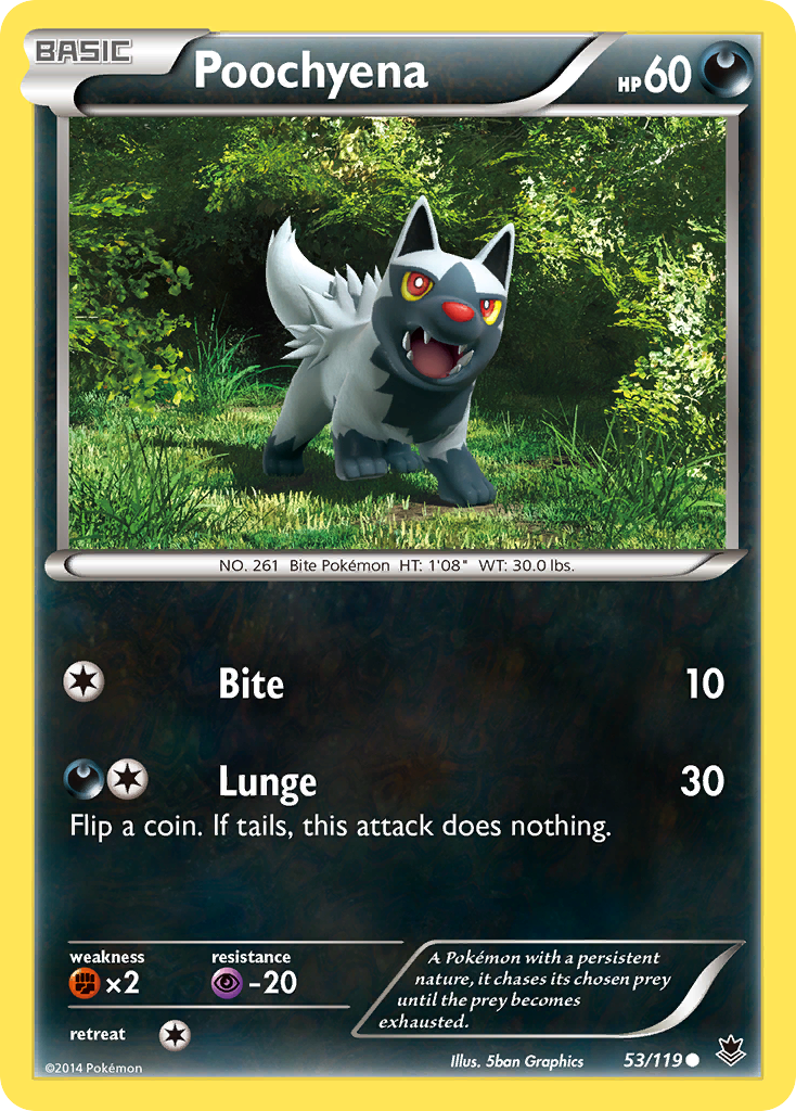 Poochyena (53/119) [XY: Phantom Forces] | Card Citadel