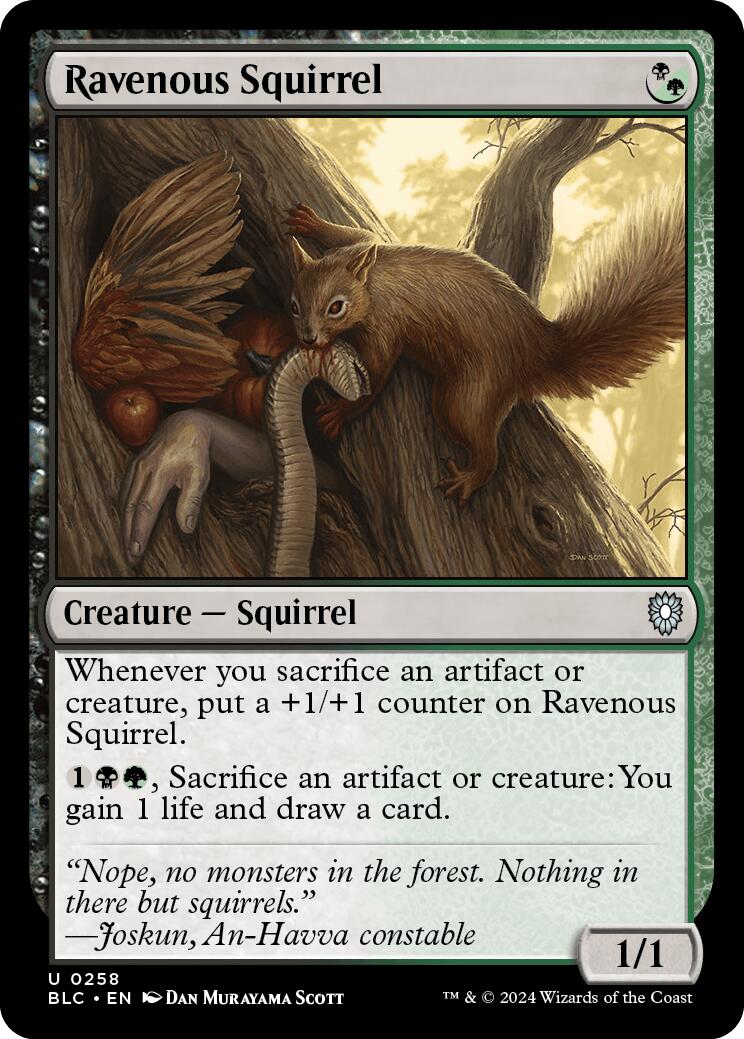 Ravenous Squirrel [Bloomburrow Commander] | Card Citadel