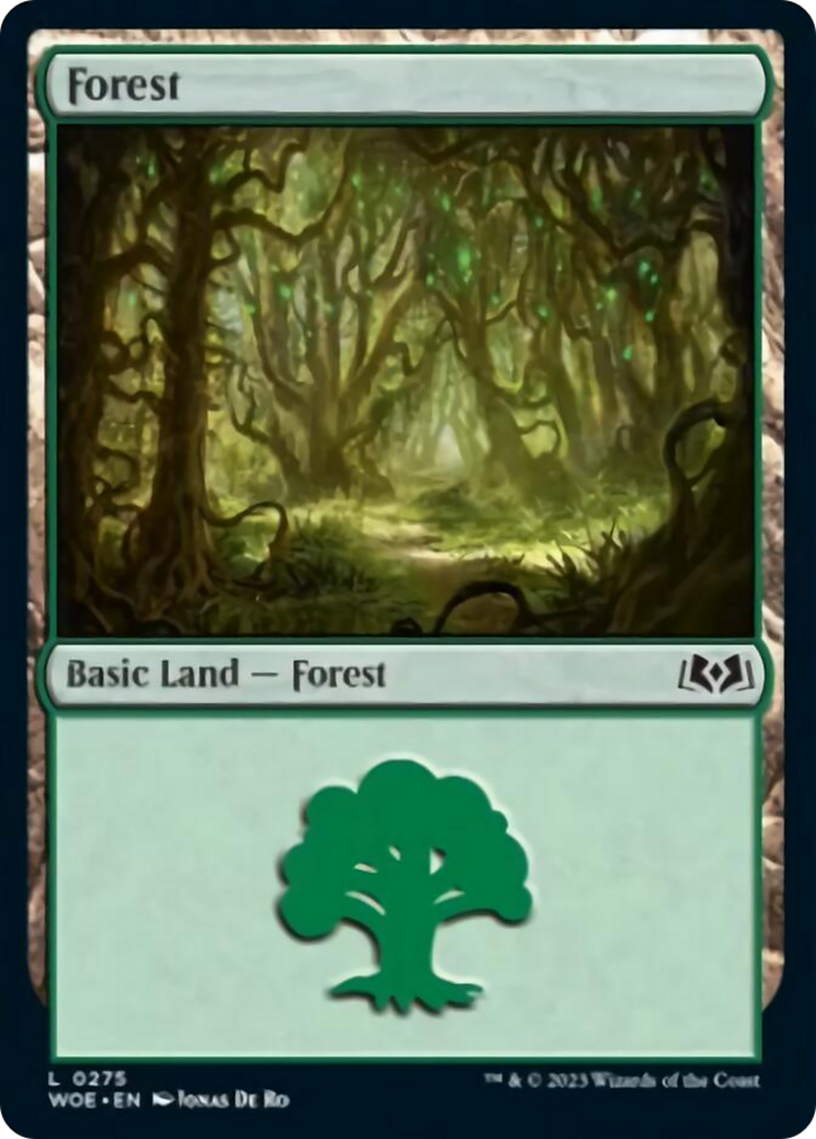 Forest (0275) [Wilds of Eldraine] | Card Citadel