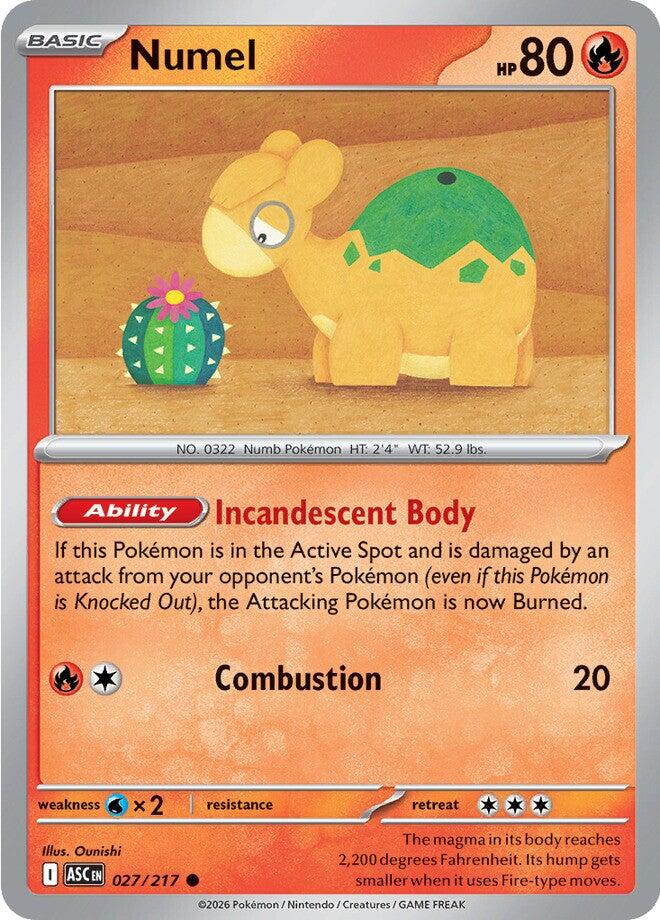 Numel (027/217) [Mega Evolution: Ascended Heroes] | Card Citadel
