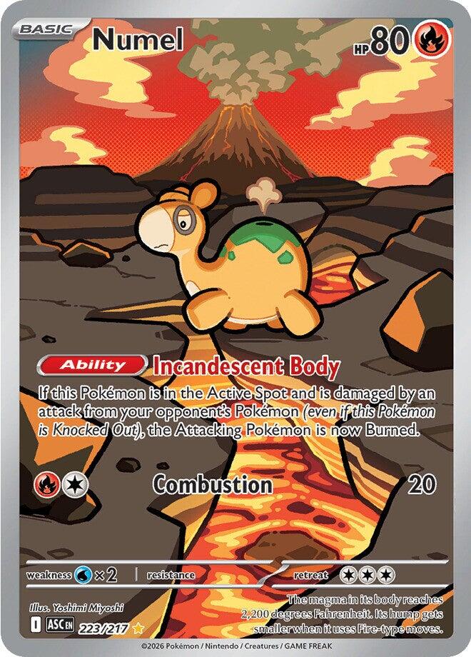 Numel (223/217) [Mega Evolution: Ascended Heroes] | Card Citadel
