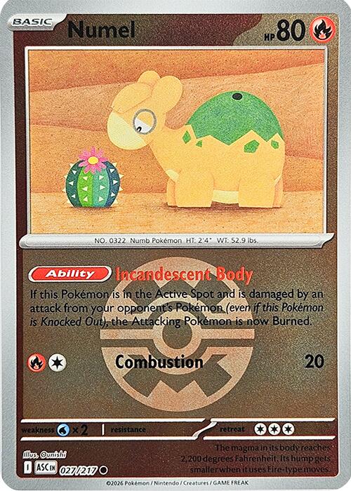 Numel (027/217) (Quick Ball) [Mega Evolution: Ascended Heroes] | Card Citadel