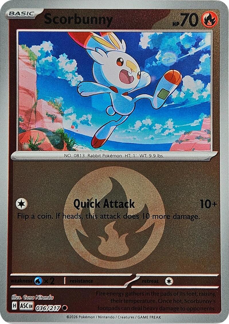 Scorbunny (036/217) (Energy Symbol Pattern) [Mega Evolution: Ascended Heroes] | Card Citadel