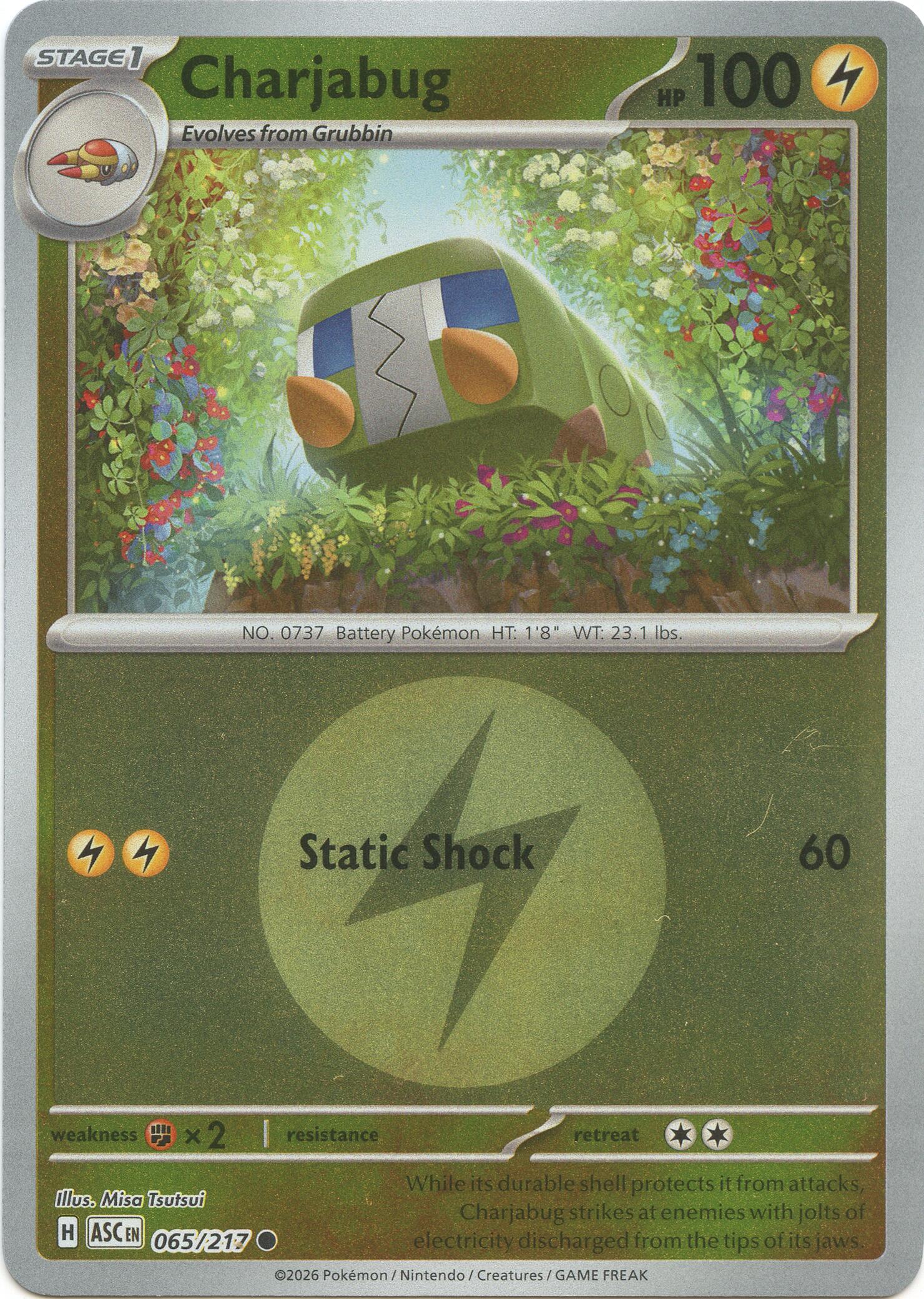 Charjabug (065/217) (Energy Symbol Pattern) [Mega Evolution: Ascended Heroes] | Card Citadel