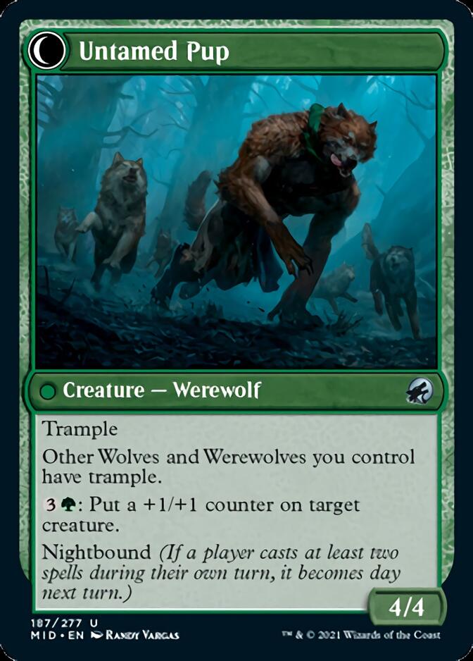 Hound Tamer // Untamed Pup [Innistrad: Midnight Hunt] | Card Citadel