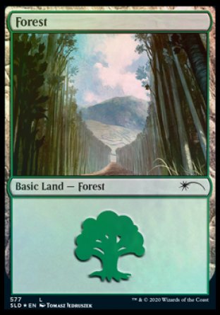 Forest (Walls) (577) [Secret Lair Drop Promos] | Card Citadel