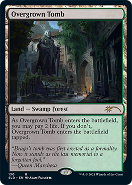 Overgrown Tomb [Secret Lair Drop Series] | Card Citadel