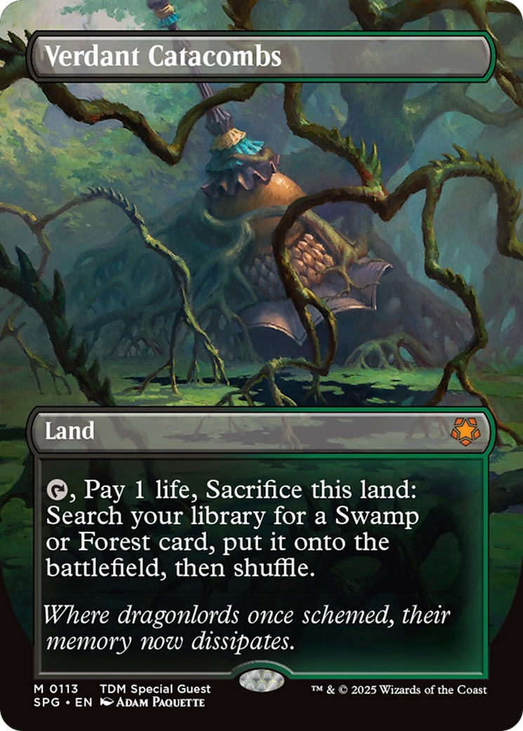 Verdant Catacombs (Borderless) [Tarkir: Dragonstorm Special Guests] | Card Citadel