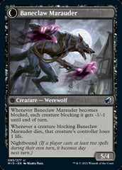Baneblade Scoundrel // Baneclaw Marauder [Innistrad: Midnight Hunt] | Card Citadel