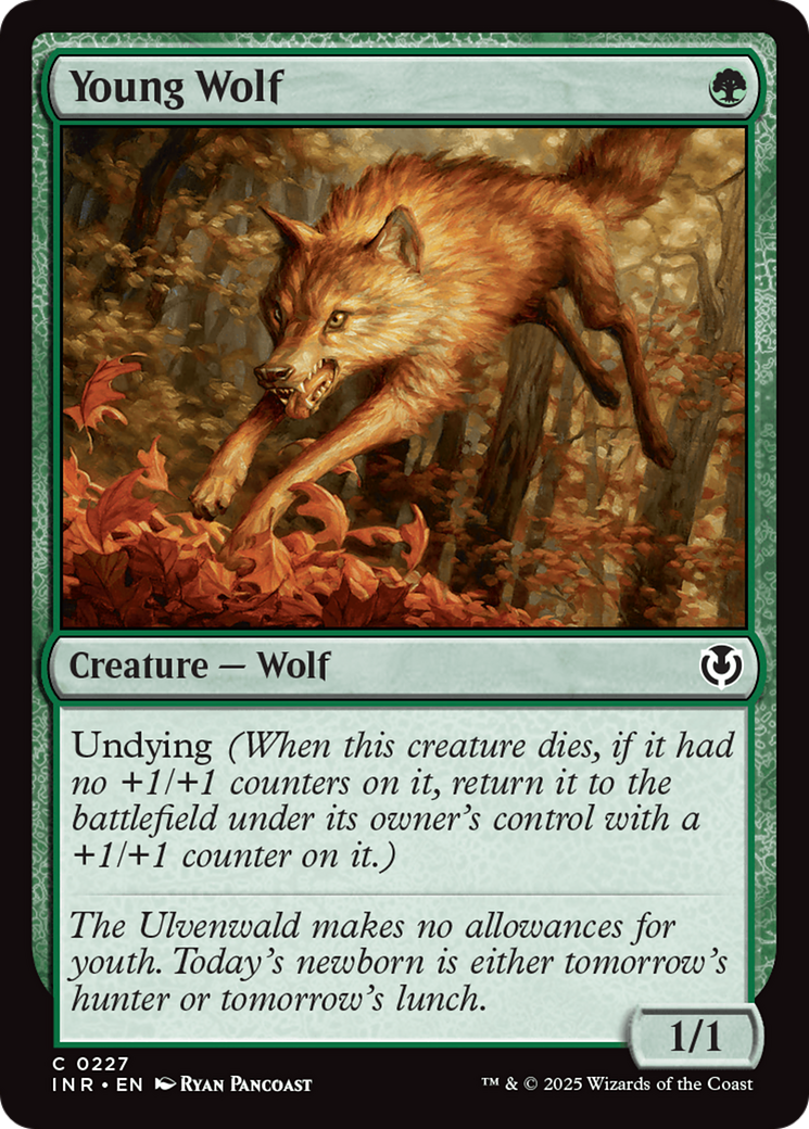 Young Wolf [Innistrad Remastered] | Card Citadel