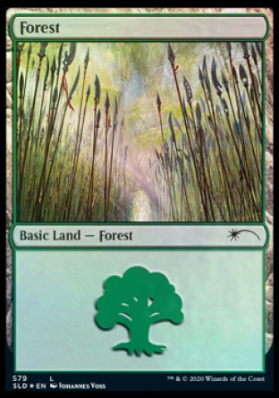 Forest (Elves) (579) [Secret Lair Drop Promos] | Card Citadel