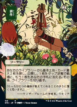 Cultivate (Japanese) [Strixhaven: Mystical Archive] | Card Citadel