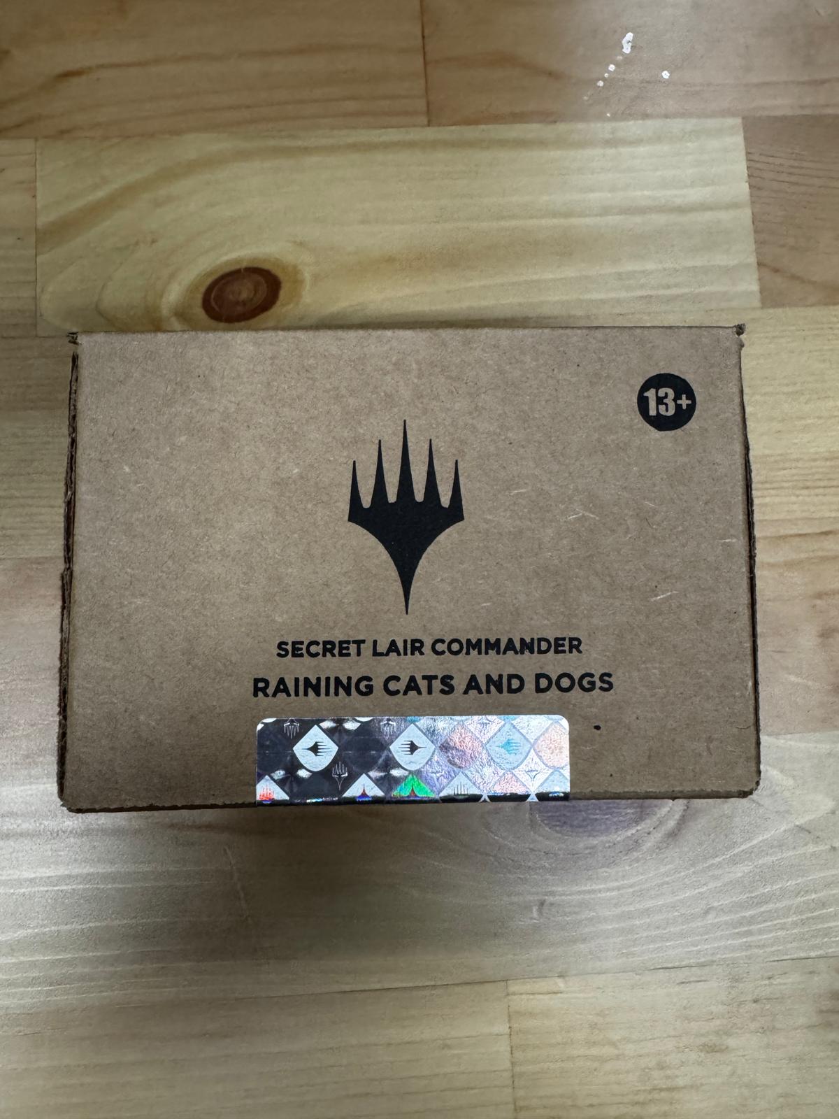 Raining Cats and Dogs | Card Citadel