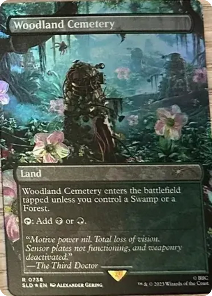 Woodland Cemetery [Secret Lair Drop Series] | Card Citadel