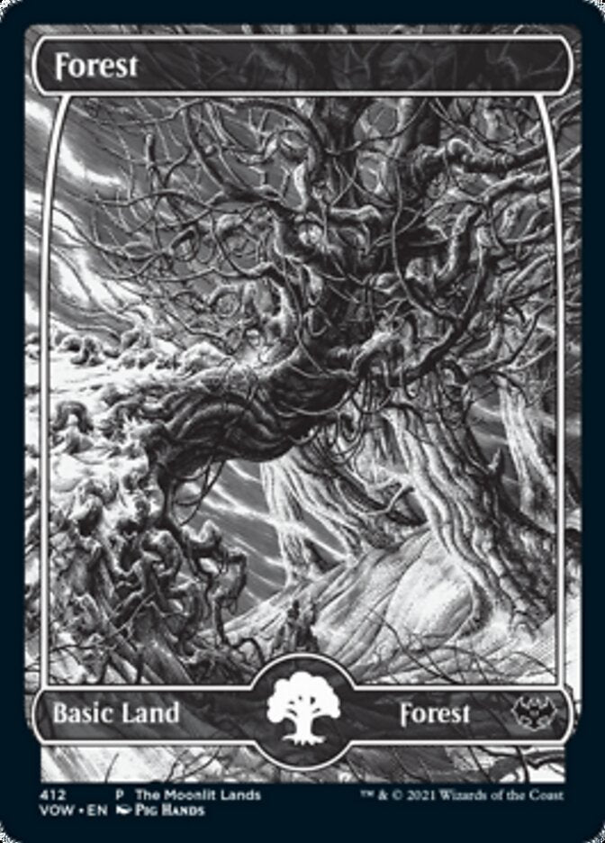 Forest (The Moonlit Lands) (Foil Etched) [Innistrad: Crimson Vow Promos] | Card Citadel