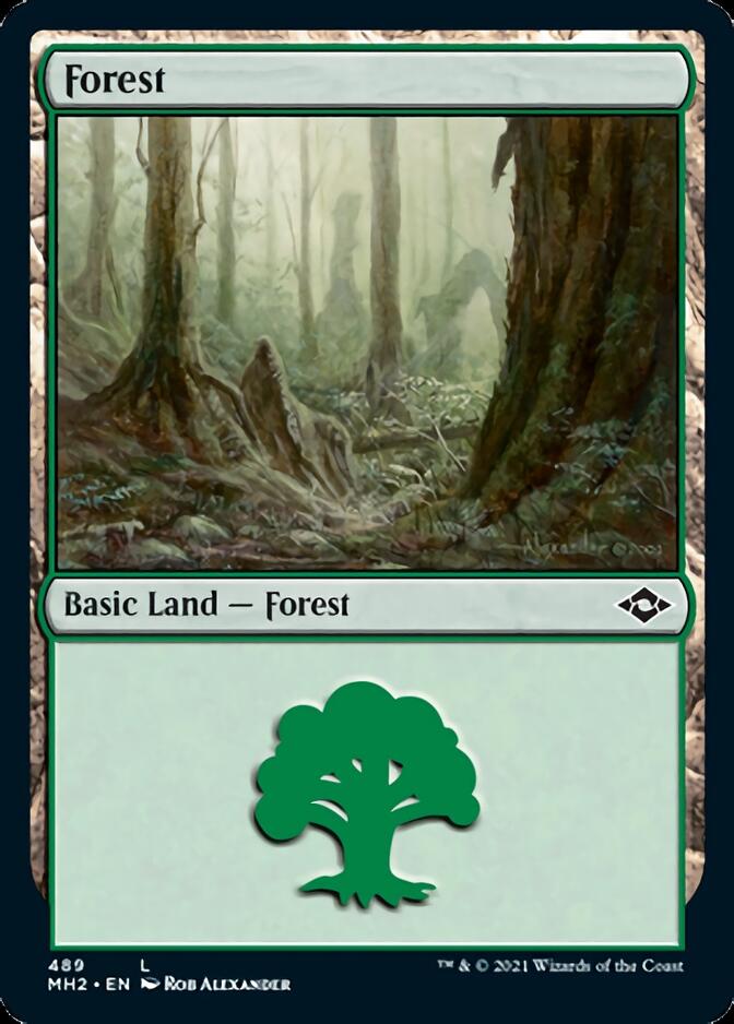 Forest (489) [Modern Horizons 2] | Card Citadel