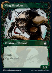 Bird Admirer // Wing Shredder (Showcase Equinox) [Innistrad: Midnight Hunt] | Card Citadel