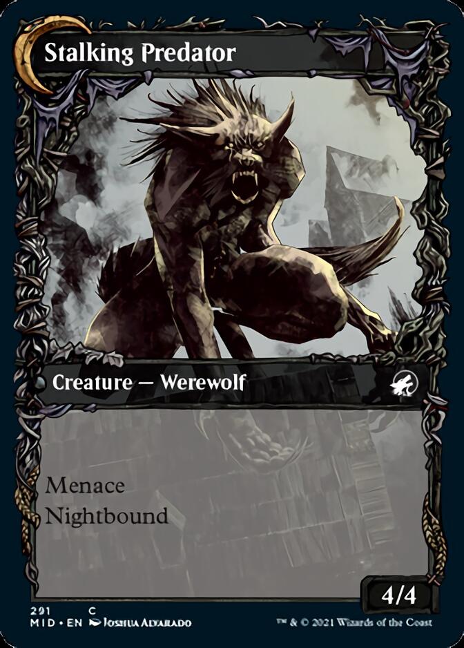Shady Traveler // Stalking Predator (Showcase Equinox) [Innistrad: Midnight Hunt] | Card Citadel