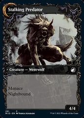 Shady Traveler // Stalking Predator (Showcase Equinox) [Innistrad: Midnight Hunt] | Card Citadel