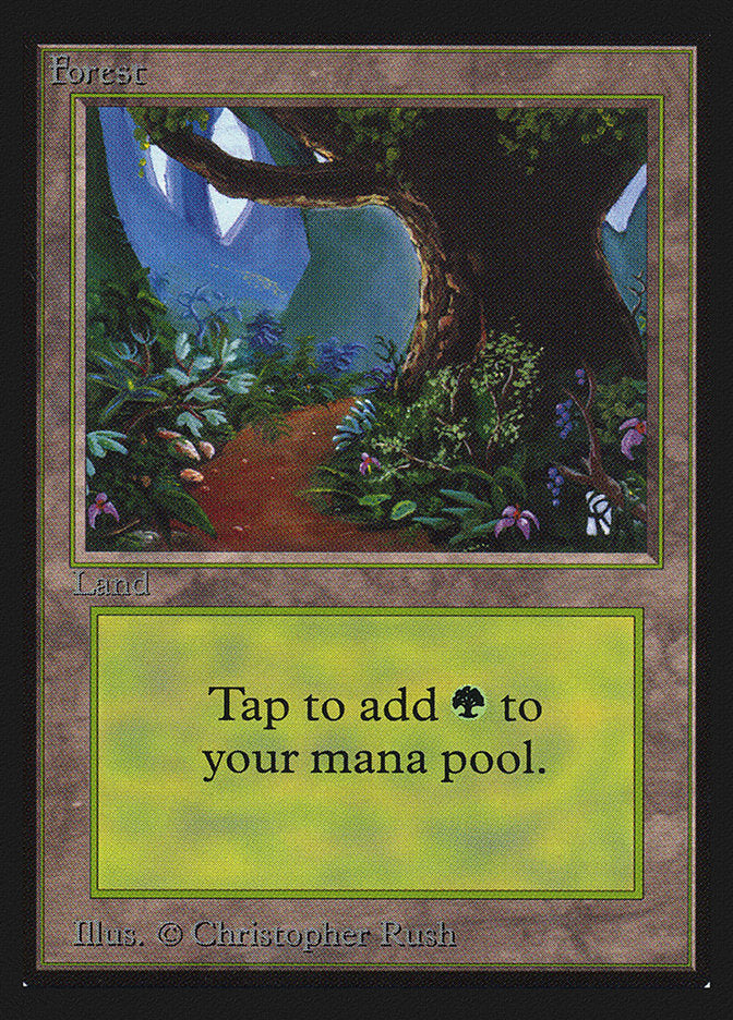 Forest (Path)(IE) [Intl. Collectors’ Edition] | Card Citadel