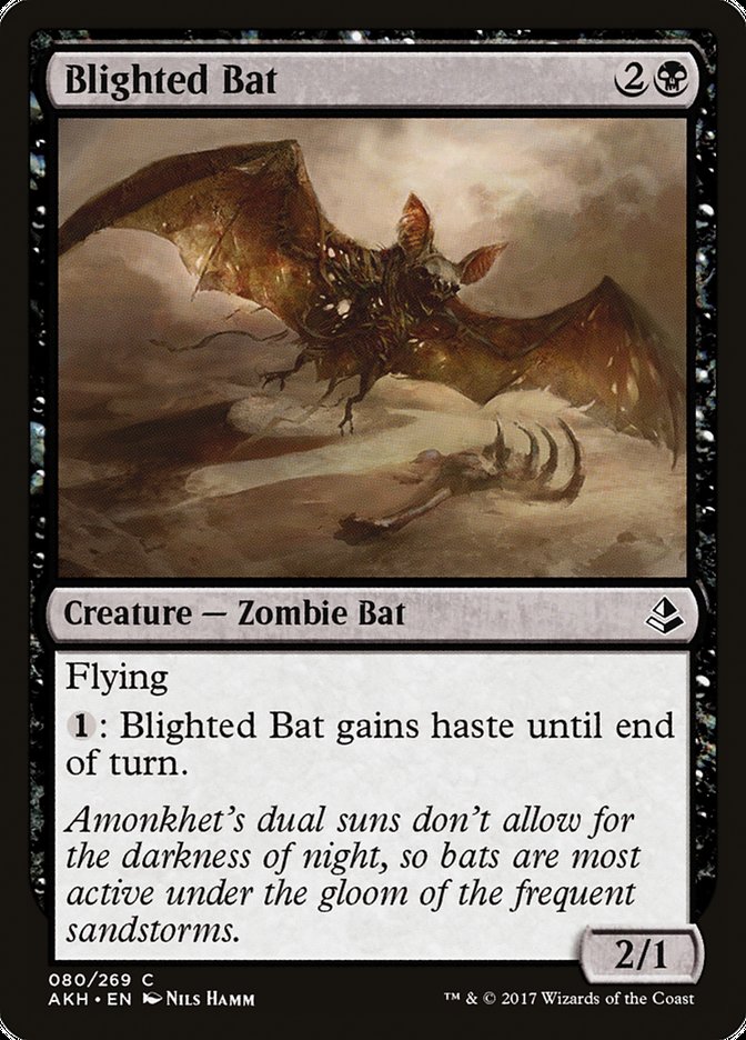 Blighted Bat [Amonkhet] | Card Citadel