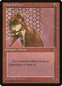 Hurr Jackal (French) - "Chacal d'Hurr" [Renaissance] | Card Citadel