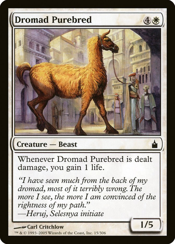 Dromad Purebred [Ravnica: City of Guilds] | Card Citadel