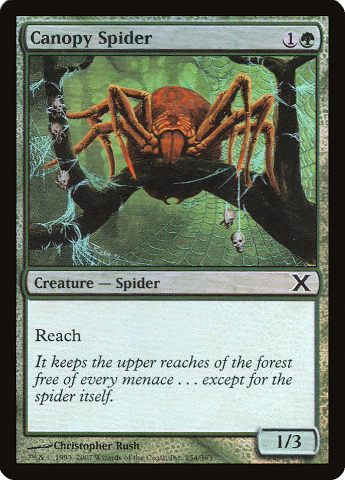 Canopy Spider (Premium Foil) [Tenth Edition] | Card Citadel