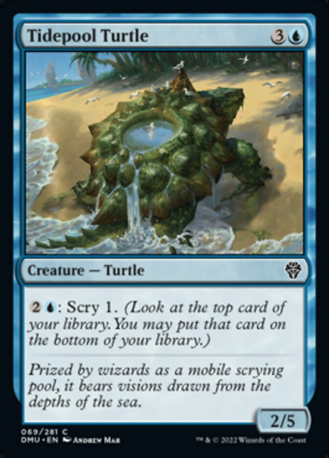 Tidepool Turtle [Dominaria United] | Card Citadel