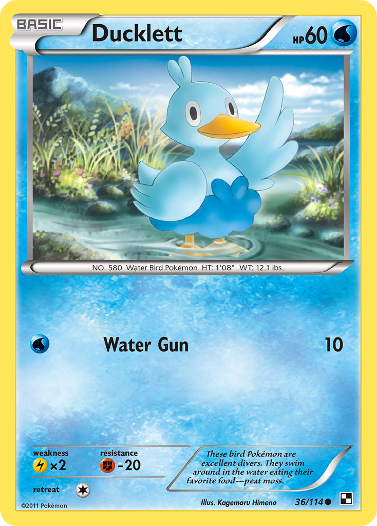 Ducklett (36/114) [Black & White: Base Set] | Card Citadel