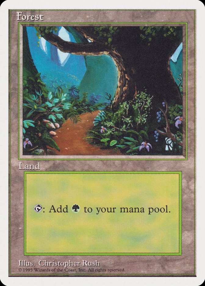 Forest (Dirt Path) [Rivals Quick Start Set] | Card Citadel