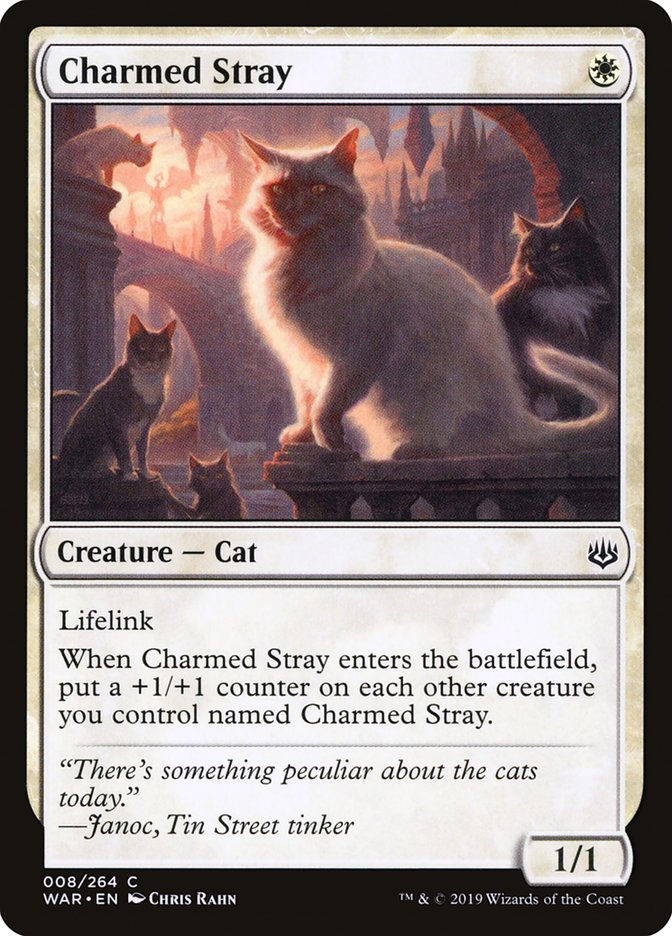 Charmed Stray [War of the Spark] | Card Citadel