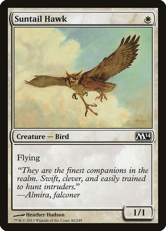 Suntail Hawk [Magic 2014] | Card Citadel