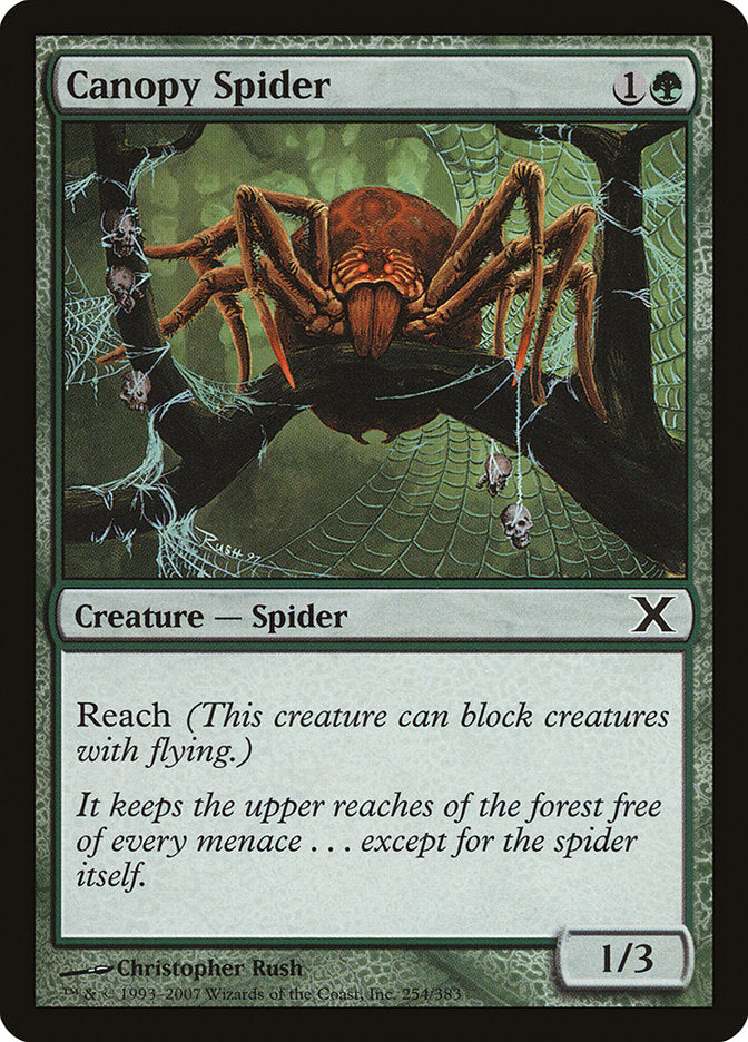 Canopy Spider [Tenth Edition] | Card Citadel