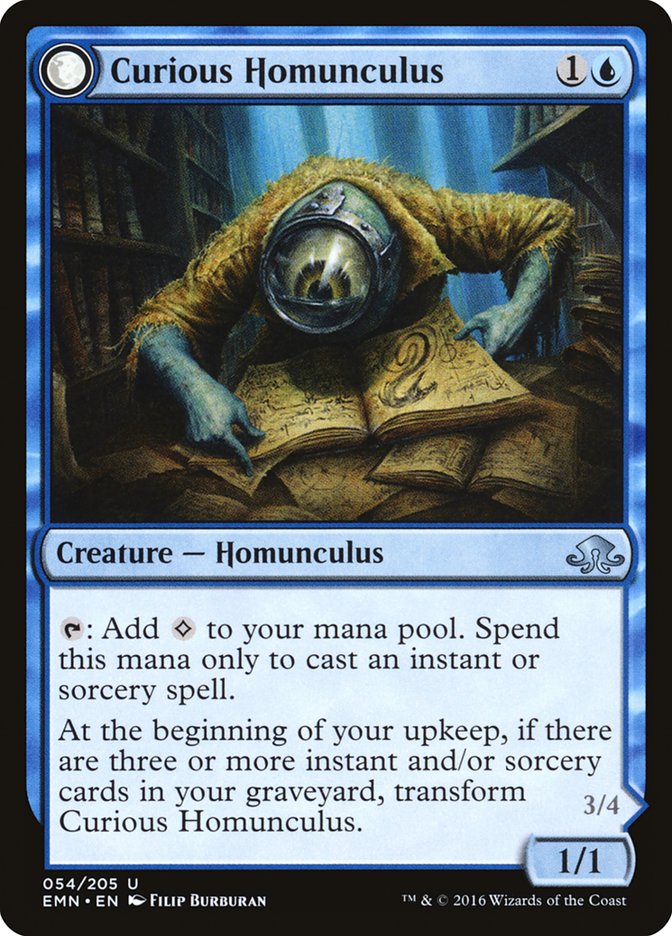 Curious Homunculus // Voracious Reader [Eldritch Moon] | Card Citadel