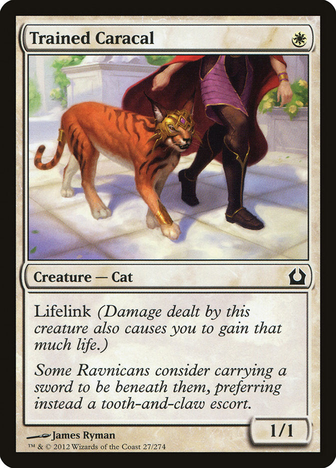 Trained Caracal [Return to Ravnica] | Card Citadel