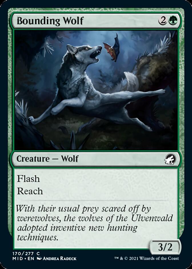 Bounding Wolf [Innistrad: Midnight Hunt] | Card Citadel