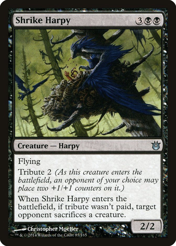 Shrike Harpy [Born of the Gods] | Card Citadel