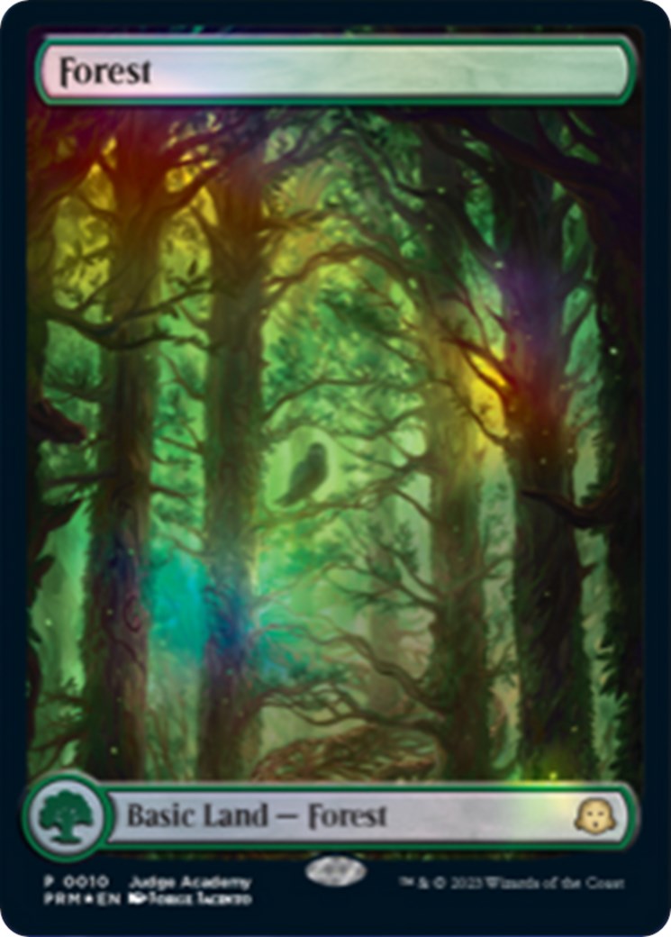 Forest [Judge Gift Cards 2023] | Card Citadel
