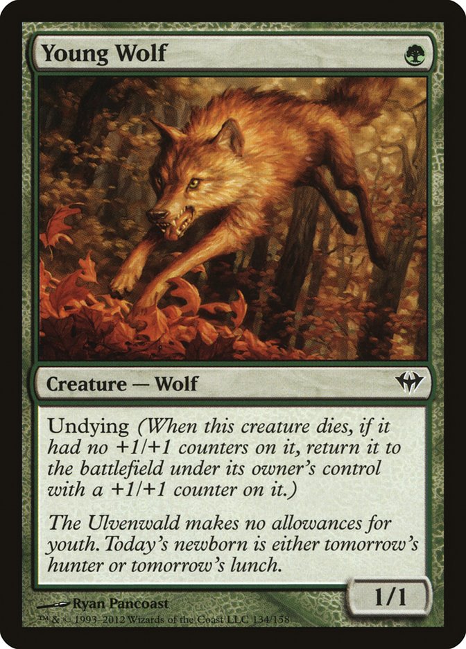 Young Wolf [Dark Ascension] | Card Citadel