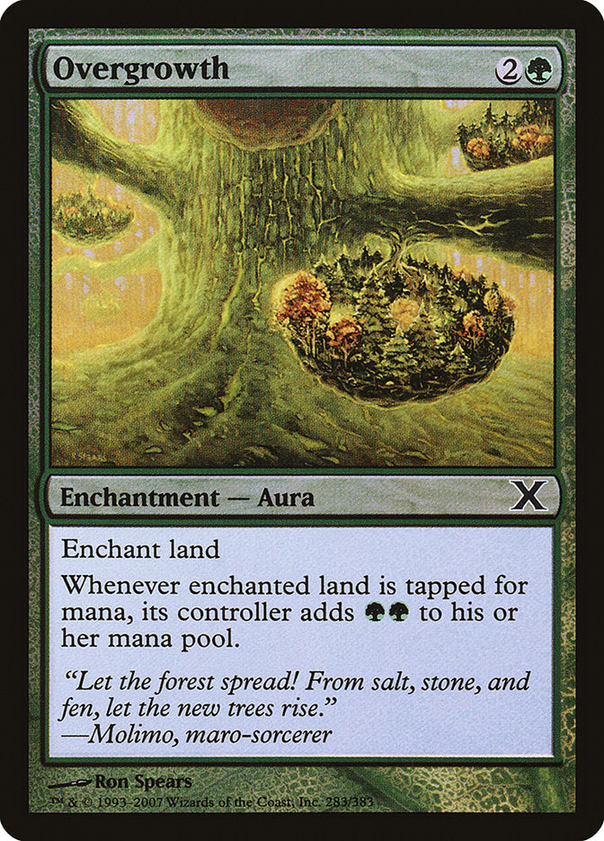 Overgrowth (Premium Foil) [Tenth Edition] | Card Citadel