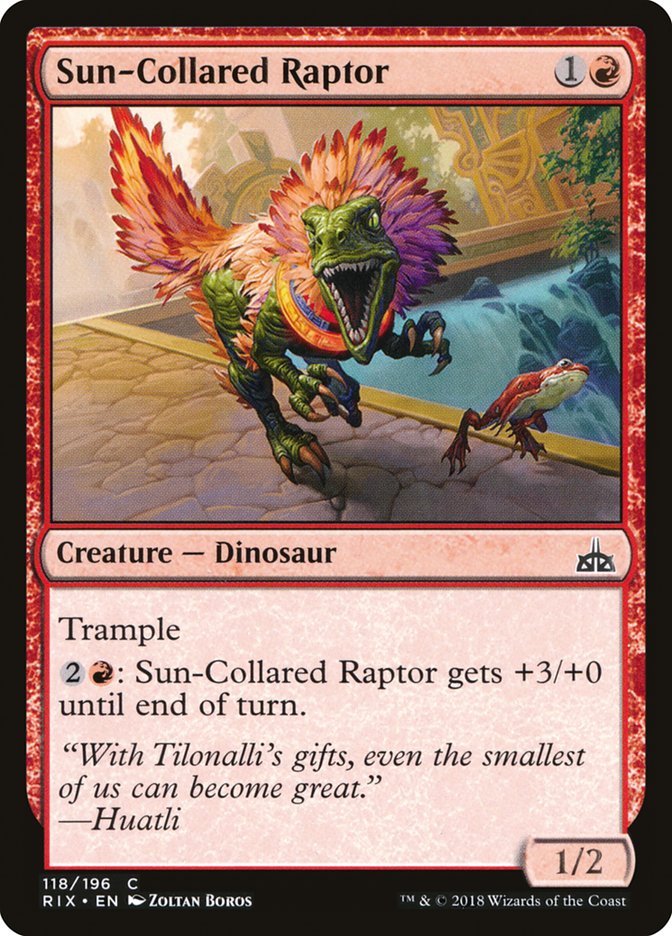 Sun-Collared Raptor [Rivals of Ixalan] | Card Citadel