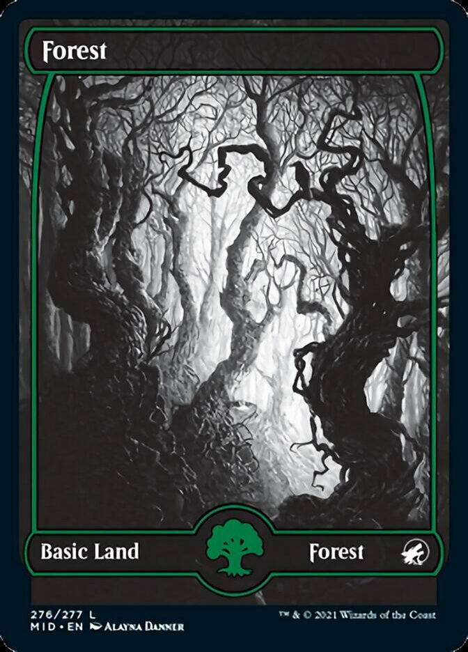 Forest (276) [Innistrad: Midnight Hunt] | Card Citadel