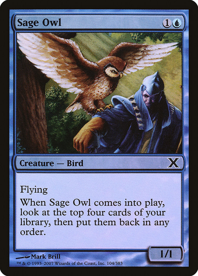 Sage Owl (Premium Foil) [Tenth Edition] | Card Citadel