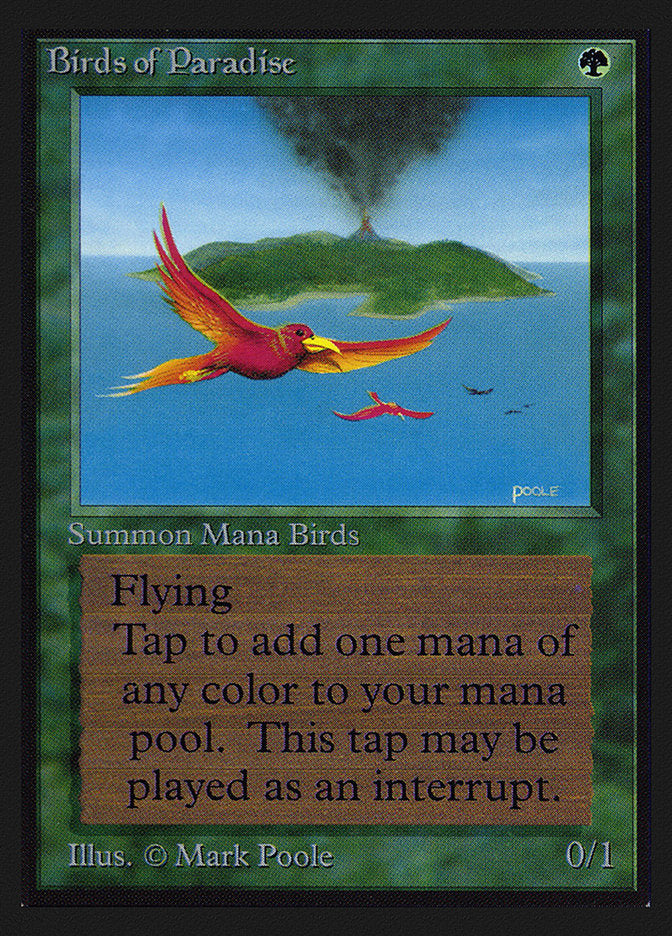 Birds of Paradise (IE) [Intl. Collectors’ Edition] | Card Citadel